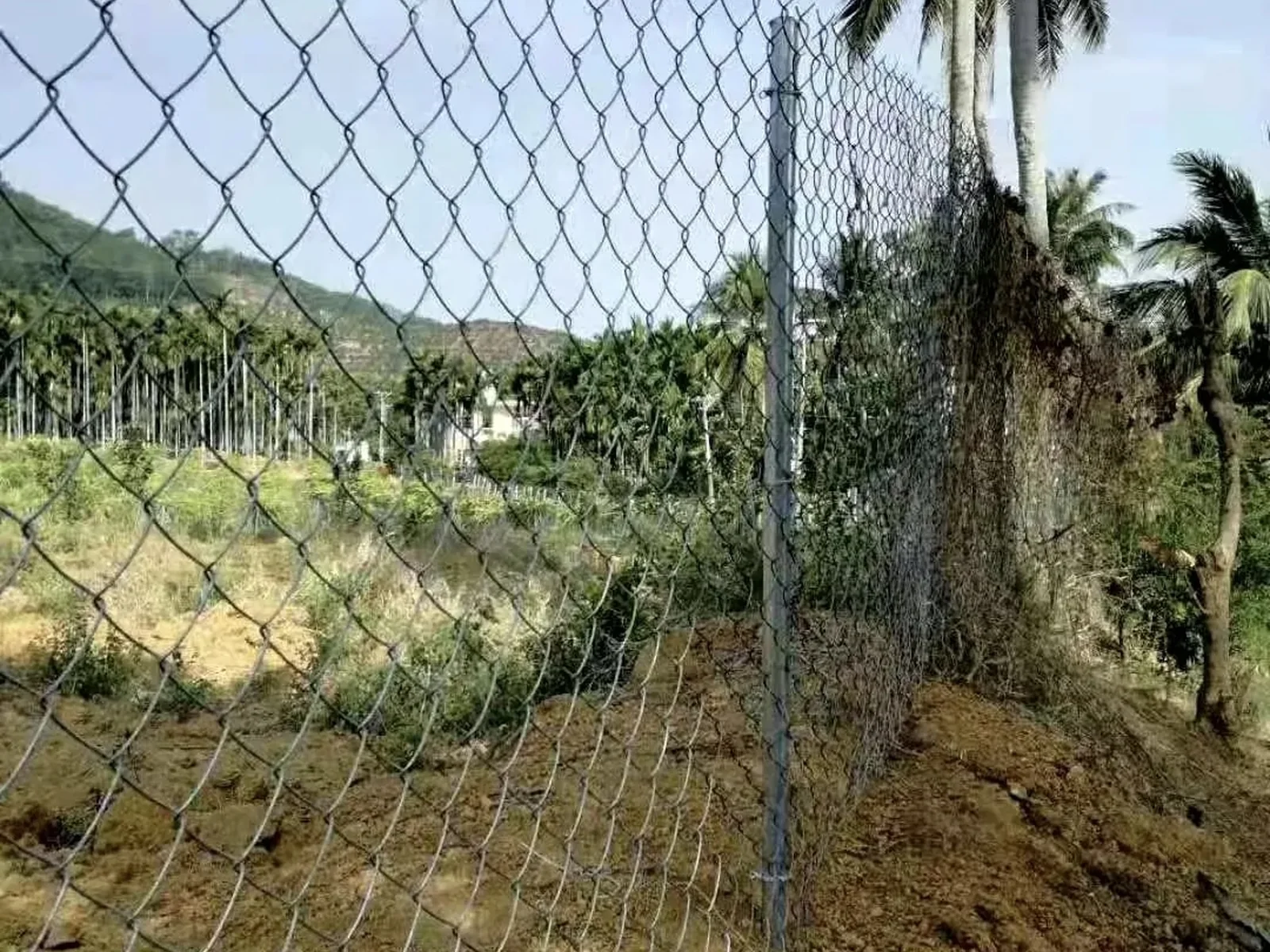 Galvanized or PVC-Coated Chain Link Fence installed in a suitable perimeter application