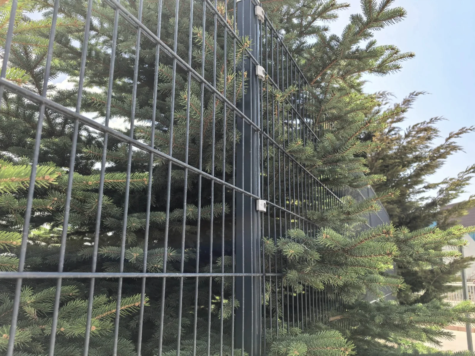 Double Wire Rigid Fence 868 / 656 installed in a suitable perimeter application